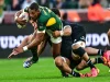Springboks Make Two Changes for All Blacks Series Decider in Baltimore Springboks, Springboks vs All Blacks, Rassie Erasmus, Damian Willemse, Morné van den Berg, All Blacks, Springboks team, Baltimore Test, Rugby’s Greatest Rivalry, South African rugby, rugby news