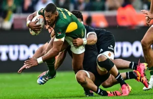Springboks Make Two Changes for All Blacks Series Decider in Baltimore Springboks, Springboks vs All Blacks, Rassie Erasmus, Damian Willemse, Morné van den Berg, All Blacks, Springboks team, Baltimore Test, Rugby’s Greatest Rivalry, South African rugby, rugby news