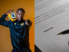 PSL transfer window: Biggest winners and losers so far PSL transfer. PSL transfer news 2026. PSL transfers 2026/27. Kaizer Chiefs transfers. Orlando Pirates transfers. Mamelodi Sundowns transfers. Stellenbosch FC transfers. PSL transfer window winners. PSL transfer window losers. South African football transfers. Betway Premiership transfers. Kaizer Chiefs latest news. Orlando Pirates latest news. Sundowns latest news