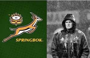 Springboks Defeat Sparks Mixed Reactions After Wallabies Shock Springboks, Wallabies, South Africa rugby, Australia rugby, Rassie Erasmus, Springboks news, Rugby Championship, Perth rugby, Rugby World Cup 2027, Andrea Piardi, Springboks fans