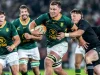 Jasper Wiese Says Springboks Will Return Stronger After Wallabies Defeat Jasper Wiese, Springboks, Wallabies, Australia vs South Africa, Springboks news, South Africa rugby, Rugby Championship, Rugby World Cup 2027, Andre Esterhuizen, Springboks fixtures, Springboks November tour, rugby news