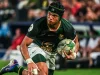Springboks Reveal Crucial Mindset Shift Behind All Blacks Bounce-Back