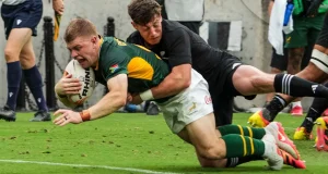Springboks player ratings: Arendse and Van den Berg lead the way in Baltimore Springboks, All Blacks, Springboks vs All Blacks, Springboks player ratings, Morne van den Berg, Kurt-Lee Arendse, Malcolm Marx, Damian de Allende, Jasper Wiese, Rugby, South Africa Rugby, New Zealand Rugby