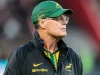 Springboks complete 15 760km journey to Australia ahead of Wallabies Test Springboks 15 760km journey. Springboks Australia. Springboks vs Wallabies. Springboks Perth Test. Rassie Erasmus. Springboks latest news. Springboks 2026. Wallabies Test. Optus Stadium. Springboks Rugby World Cup 2027. South Africa rugby