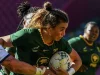 Springbok Women Name Black Ferns Test Team Amid Coaching Turmoil Springbok Women, Black Ferns, Babalwa Latsha, Swys de Bruin, South Africa rugby, New Zealand rugby, FNB Stadium, Women’s Rugby