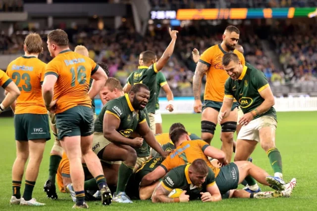 Springboks vs Wallabies: Kick-Off Time, TV Channel and Date Springboks vs Wallabies kick-off time. Springboks vs Wallabies 2026. Springboks Wallabies kick-off time. Springboks vs Australia. Springboks next match. Springboks September 2026. Springboks Australia Test. Springboks TV channel. Wallabies vs Springboks. South Africa rugby. Rassie Erasmus. Siya Kolisi. Optus Stadium. Springboks Perth. Springboks latest news
