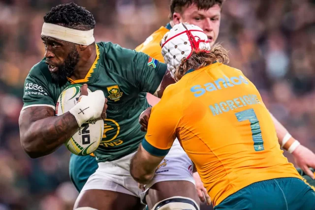 Springboks, Rassie Erasmus, Pieter-Steph du Toit, Damian de Allende, Wallabies, Australia, Springboks vs Wallabies, South Africa Rugby, Rugby Championship, Nations Championship, Rugby News, Springboks News