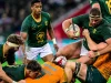 Springboks keep squad intact for Wallabies Test as World Cup planning continues Springboks vs Wallabies. Springboks Australia Test. Springboks squad 2026. Rassie Erasmus. Wallabies vs Springboks. Springboks Perth Test. Springboks Optus Stadium. Springboks 2027 Rugby World Cup. Springboks latest news. South Africa rugby. Springboks Rugby World Cup preparation