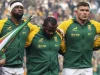 Springboks Set for Fiji Test in Final World Cup Warm-Up Springboks, South Africa Rugby, Fiji Rugby, Flying Fijians, Rassie Erasmus, Rugby World Cup 2027, Springboks vs Fiji, Springboks World Cup, Australian rugby, Polytec Stadium, Gosford