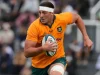 Wallabies suffer late Josh Canham injury blow ahead of Springboks Test Josh Canham injury. Wallabies vs Springboks, Australia vs South Africa, Josh Canham, Lukhan Salakaia-Loto, Springboks, Wallabies, Optus Stadium, Perth rugby, Springboks Test, Mandela Challenge Plate