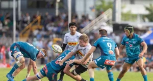 South African Teams Set for European Rugby Glory: Champions Cup & Challenge Cup Opening Fixtures Confirmed Champions Cup rugby, Stormers, Bulls, Lions, Sharks, Cheetahs, EPCR Challenge Cup, South African rugby, European rugby fixtures.