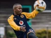 Nkosingiphile Ngcobo Joins Belgian Agency Lupus Sports Amid Kaizer Chiefs Uncertainty Nkosingiphile Ngcobo. Nkosingiphile Ngcobo Kaizer Chiefs. Kaizer Chiefs news. Lupus Sports. Nkosingiphile Ngcobo transfer. Kaizer Chiefs transfer news. Amakhosi latest news. Kaizer Chiefs midfielder. PSL transfer news. Nkosingiphile Ngcobo future. Kaizer Chiefs January transfer window