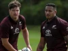 Safe at the Summit: Can the Springboks Lose Their World Rugby No. 1 Ranking This Weekend? Springboks World Rugby rankings, Bledisloe Cup. All Blacks vs. Australia, Eden Park streak, Les Kiss Wallabies, Dave Rennie All Blacks, Rugby Championship rankings.