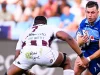 Loftus Hostilities Renewed: Bulls Tackle Stade Français in Champions Cup Opener Bulls vs Stade Francais, Champions Cup live score, Handre Pollard Bulls, Bulls rugby lineup, Loftus Versfeld rugby, Investec Champions Cup 2026.