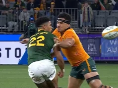 Wallabies Hit by Hunter Paisami Four-Match Ban After Springbok Test Hunter Paisami, Wallabies, Australia Rugby, Springboks, Sacha Feinberg-Mngomezulu, Bledisloe Cup, All Blacks, Les Kiss, Rugby Championship, Rugby News, Australian Rugby, South Africa Rugby