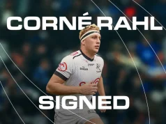 Stormers Secure Sharks Lock Corné Rahl in Major Move for 2027 Corné Rahl transfer. Stormers signings 2027. Sharks lock Corné Rahl. DHL Stormers news. South African rugby transfers. Stormers squad news
