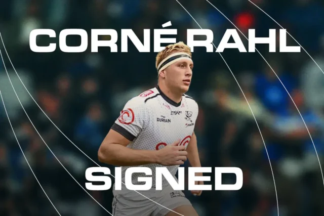 Stormers Sign Sharks Lock Corné Rahl for 2027 Move Corné Rahl transfer. Stormers signings 2027. Sharks lock Corné Rahl. DHL Stormers news. South African rugby transfers. Stormers squad news